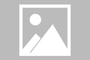 全面解析HTML，从基础到高级应用html